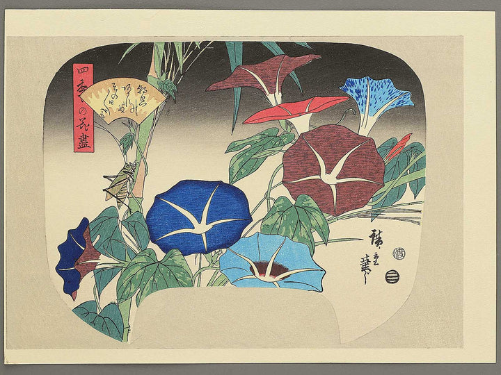 Asagao from the series Shiki no hanazukushi by Utagawa Hiroshige, (Medium print size) / BJ330-547