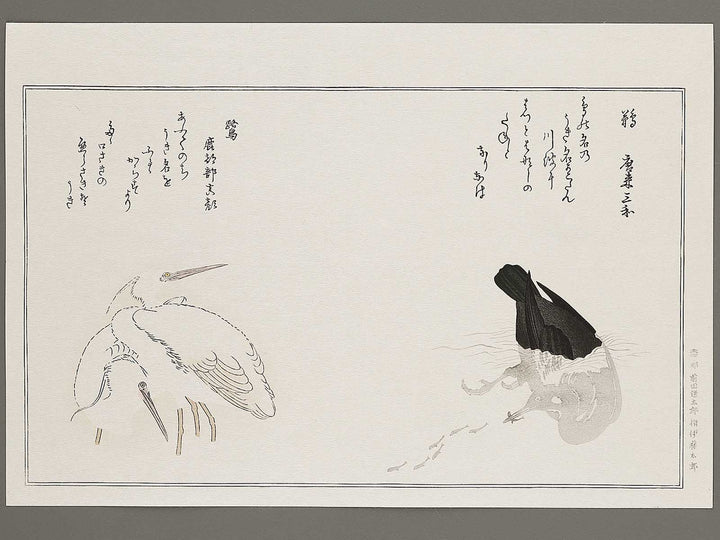 Cormorant and Heron from the series Momochidori kyoka awase by Kitagawa Utamaro, (Large print size) / BJ308-315