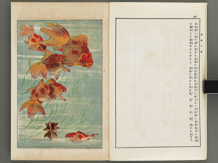 Kaiga hoten Volume 3 by Murakoshi Koson / BJ341-894