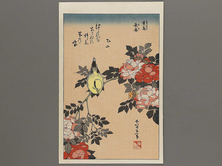 Kocho bara by Katsushika Hokusai, (Large print size) / BJ306-922