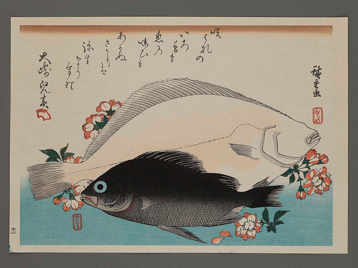 Halibut, Rockfish & Cherry Blossoms from the series the series FISH by Utagawa Hiroshige, (Large print size) / BJ234-997