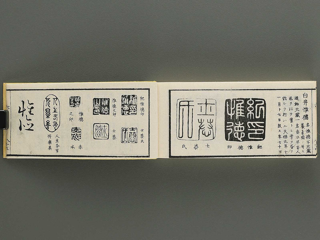 Shoga hikkei meika zensho Volume 6 / BJ348-635