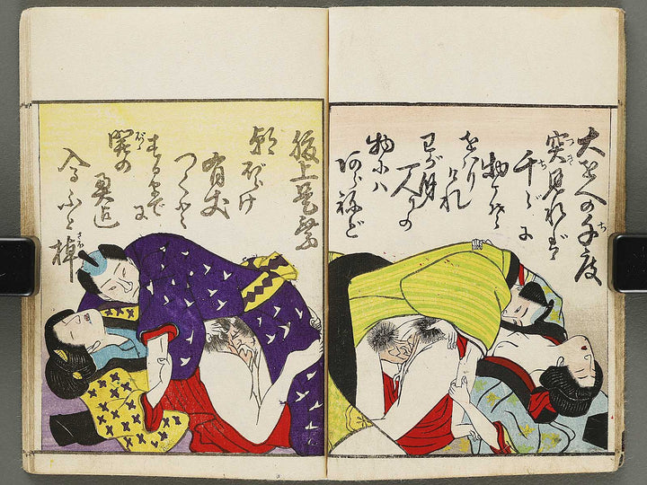 Shunga / BJ310-849