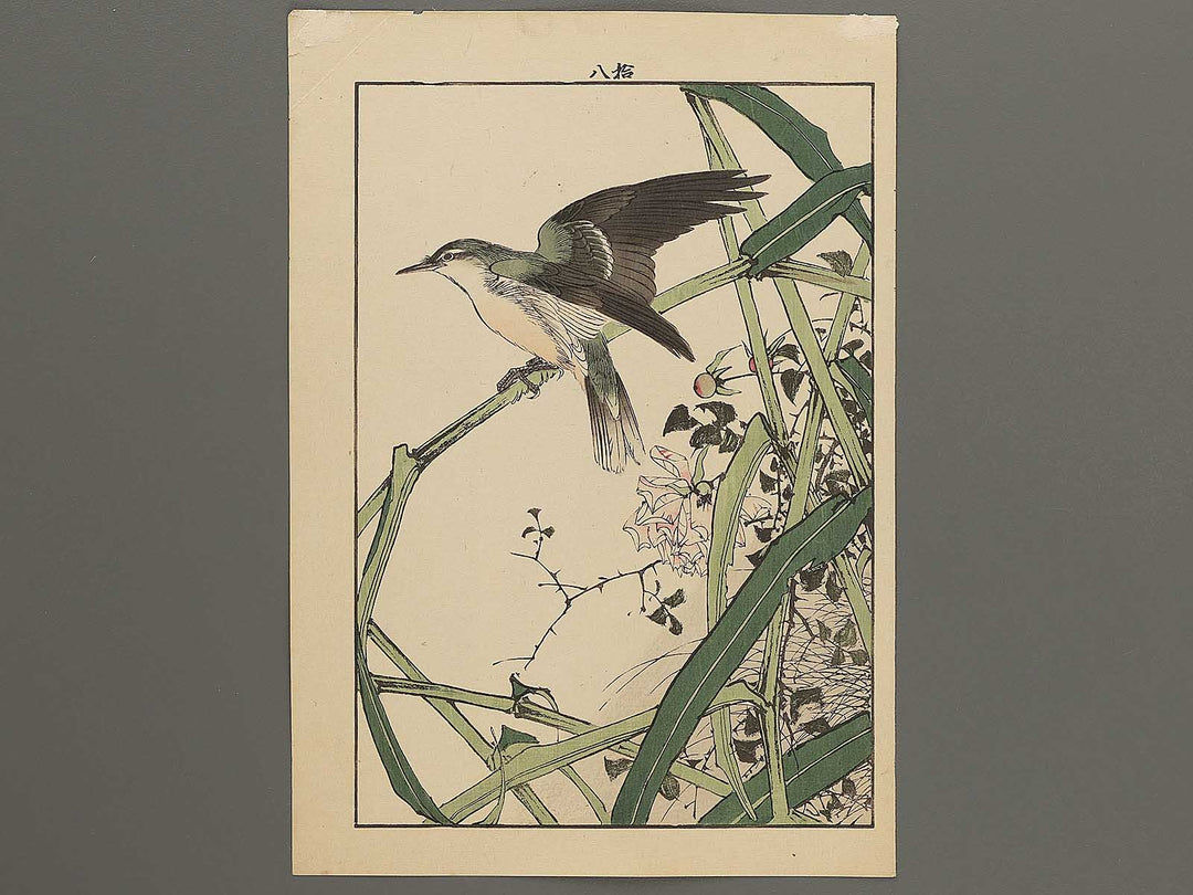Flower and Bird by Imao Keinen / BJ300-482