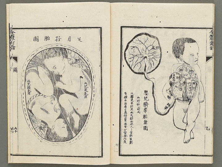 Zentai shinron Kon (Part 2 of 2) / BJ325-353