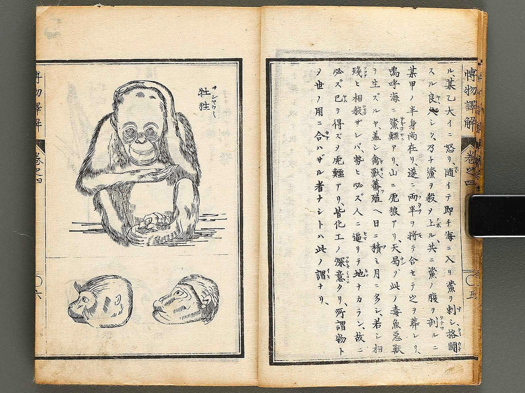 Hakubutsu shinpen yakkai Volume 4 / BJ326-879