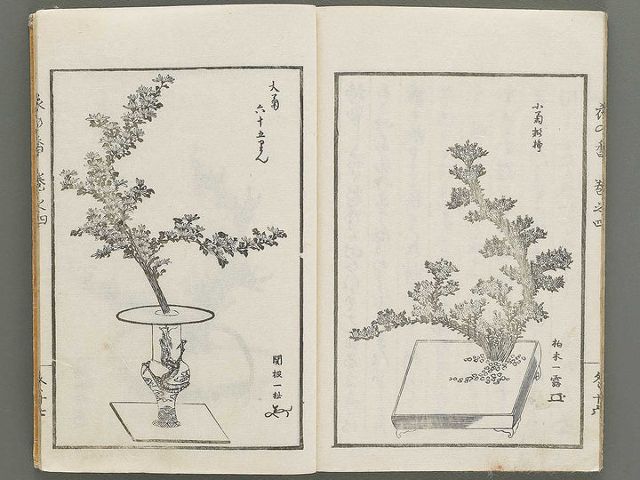Soka koromonoka Volume 4 by Hishikawa Sori / BJ335-188