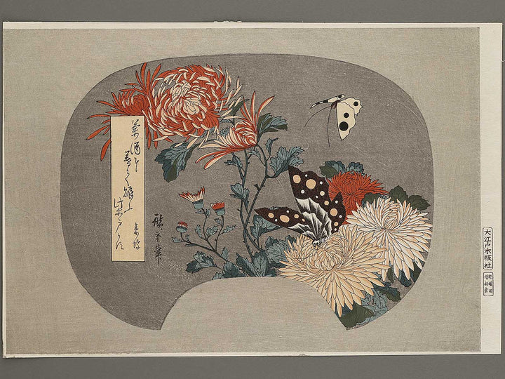 Kiku ni cho by Utagawa Hiroshige, (Large print size) / BJ324-737