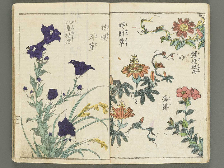 Soka e tehon by Keisai Eisen / BJ348-040