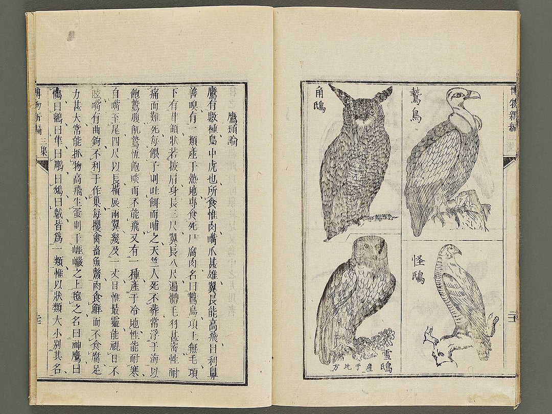 Hakubutsu Shinpen Volume 3 / BJ336-476