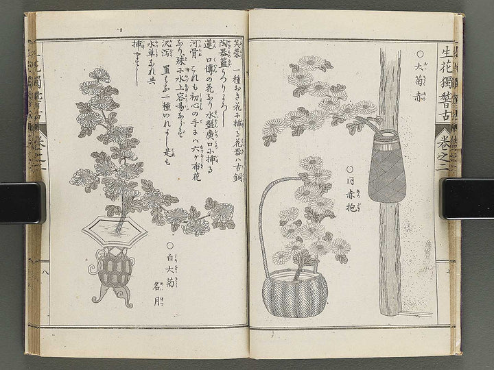 Shoryu hiden ikebana hitorigeiko Volume 2 / BJ347-935