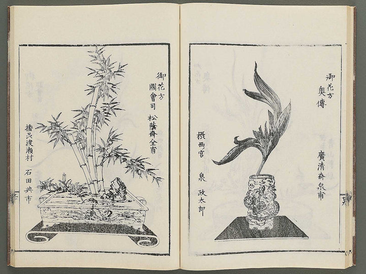 Naniwa no hana by Matsukawa Hanzan / BJ348-992