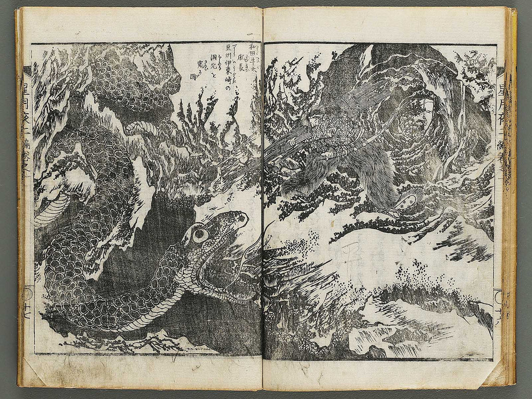 Hoshizuki yoken kairoku Part 2, Book 1 by Teisai Hokuba / BJ324-436