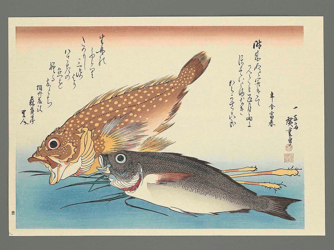 Scorpionfish, Grunt & Ginger from the series the series FISH by Utagawa Hiroshige, (Large print size) / BJ235-081