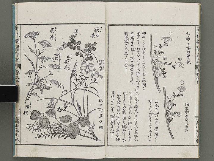 Shoryu hiden ikebana dokushu jizai Volume 4 / BJ332-759