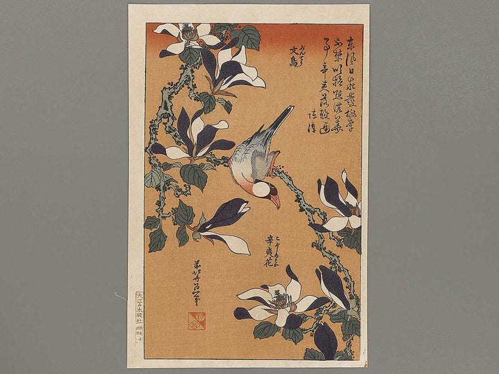 Buncho kobushi no hana by Katsushika Hokusai, (Large print size) / BJ331-674