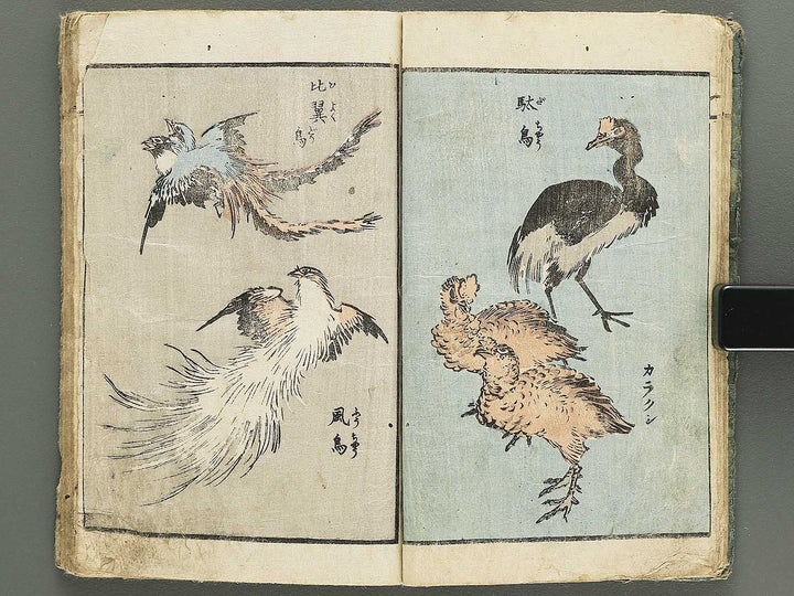 Yanagawa gafu (Kacho bu) by Yanagawa Shigenobu / BJ348-964