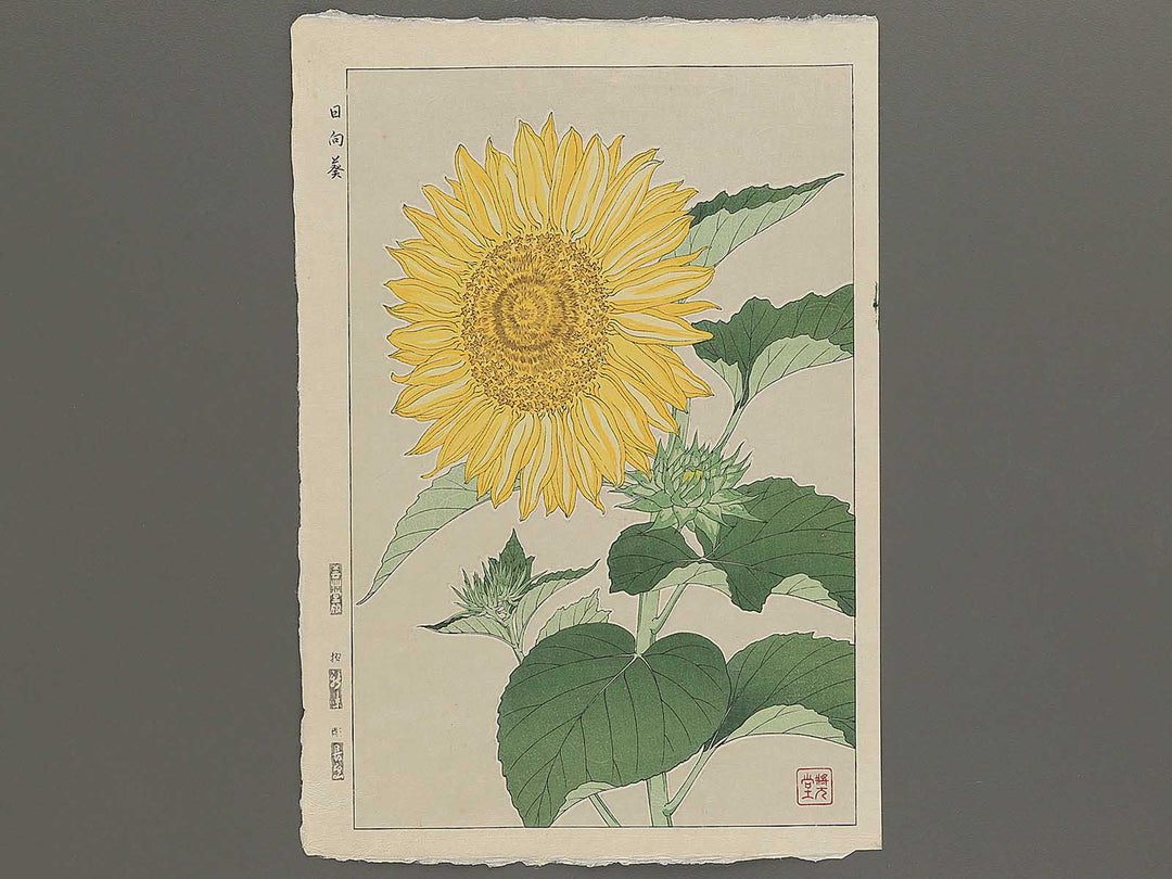 Himawari by Kawarazaki Shodo, (Large print size) / BJ346-276
