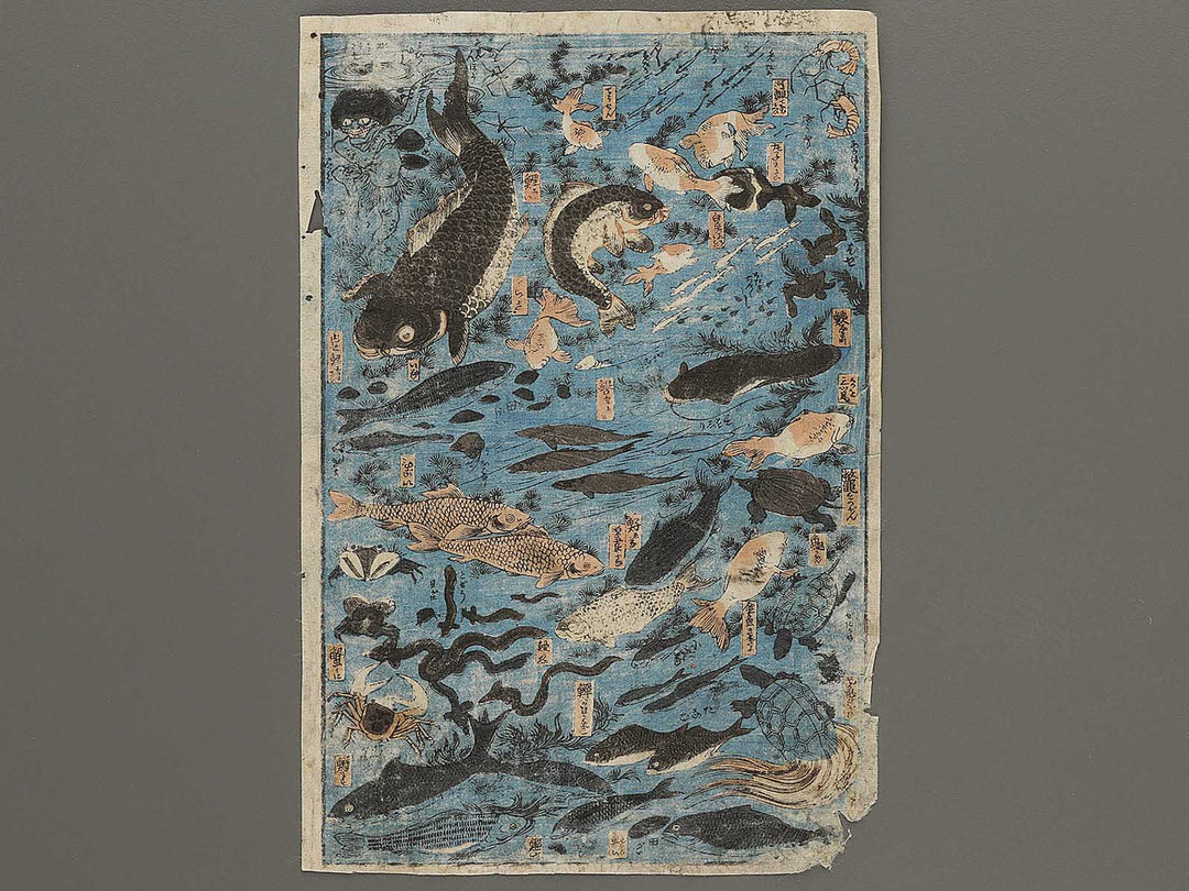 Sakana zukushi / BJ325-836