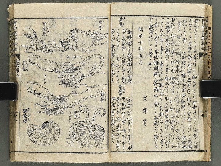 Hakubutsu kyojyuho Volume 4-5 by           / BJ344-729