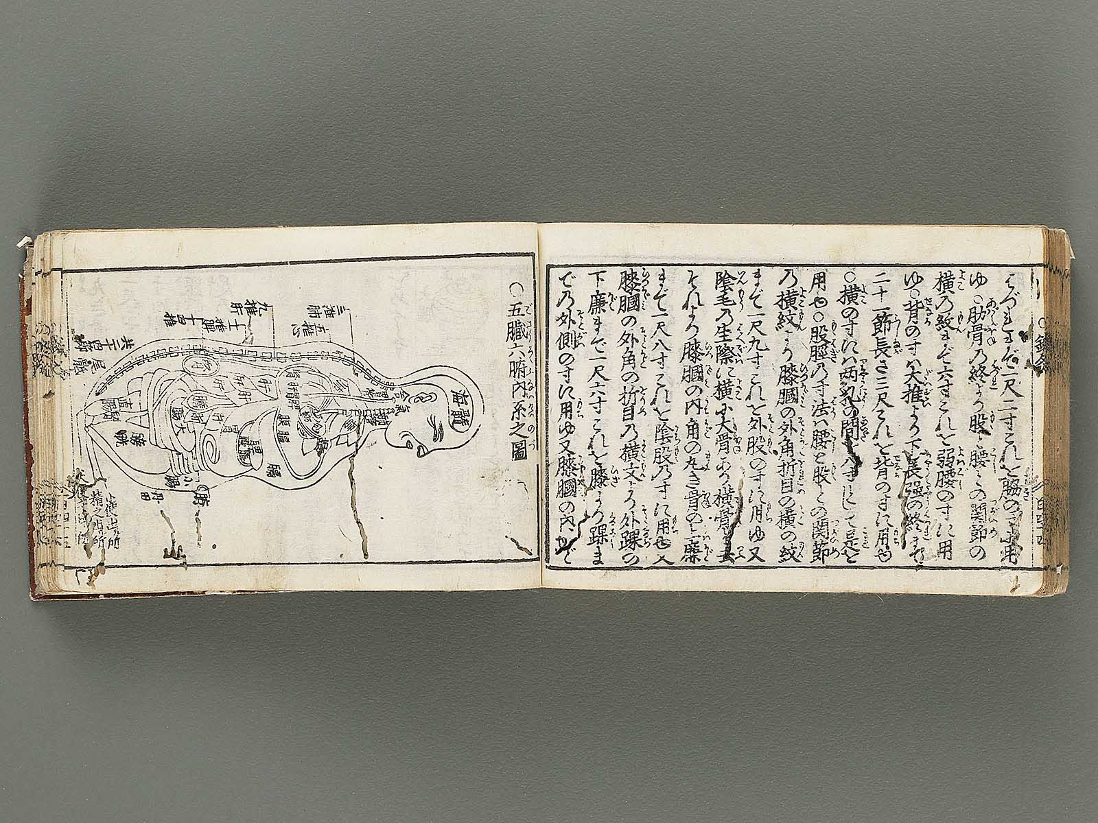 【特別訳あり特価】 komoku nitiyo Ido (Zen) NIHONKOSHO – BJ304-675 / 人文