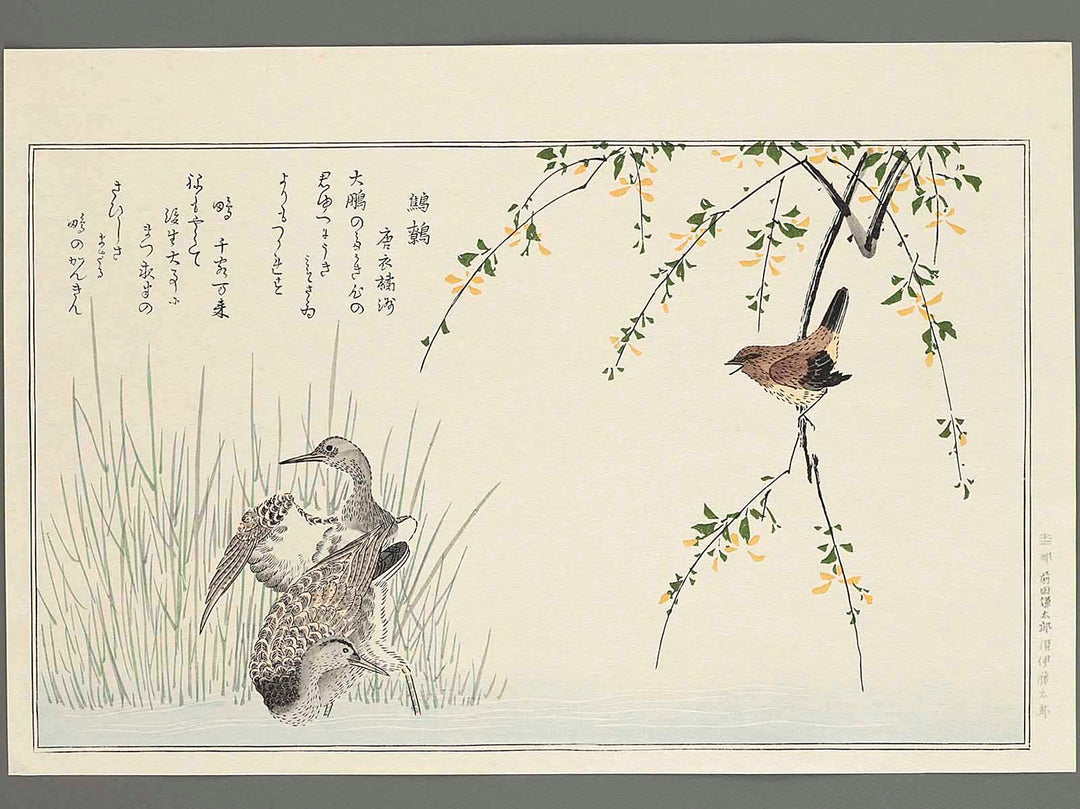 Wren and Snipe from the series Momochidori kyokaawase by Kitagawa Utamaro, (Large print size) / BJ244-958