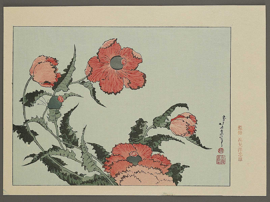 A poppy by Katsushika Hokusai, (Medium print size) / BJ327-334