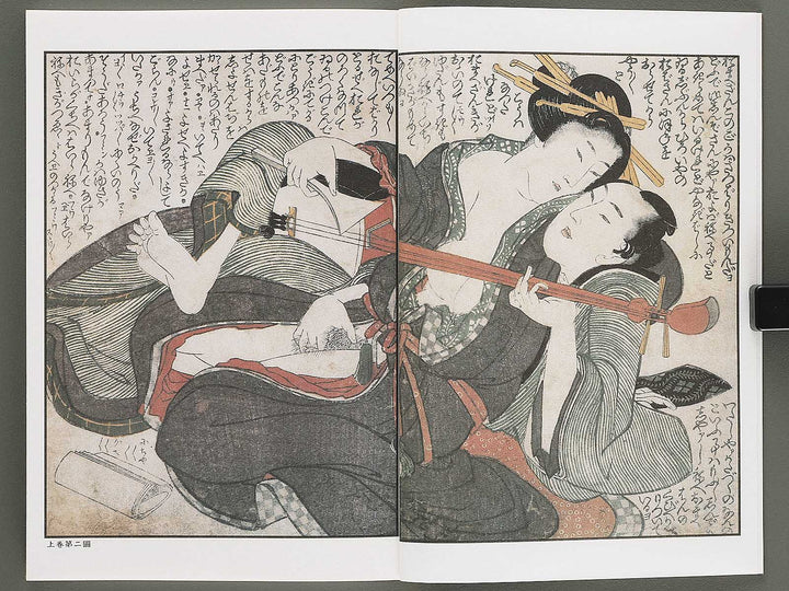 Ezoshi Tamakazura Volume 12 by Katsushika Hokusai / BJ346-486