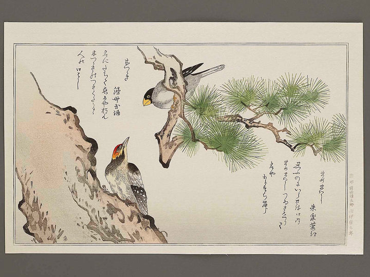 Japanese Grosbeak and Woodpecker from the series Momochidori kyokaawase by Kitagawa Utamaro, (Large print size) / BJ328-027