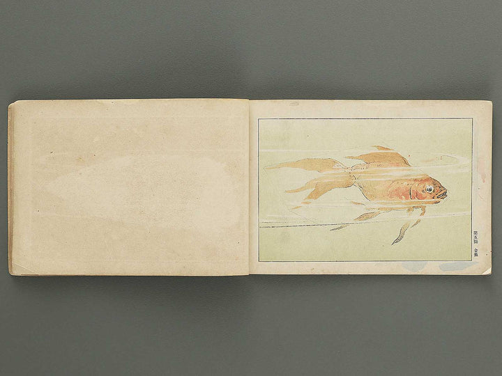 Koto shogaku enpitsu gacho / BJ349-356