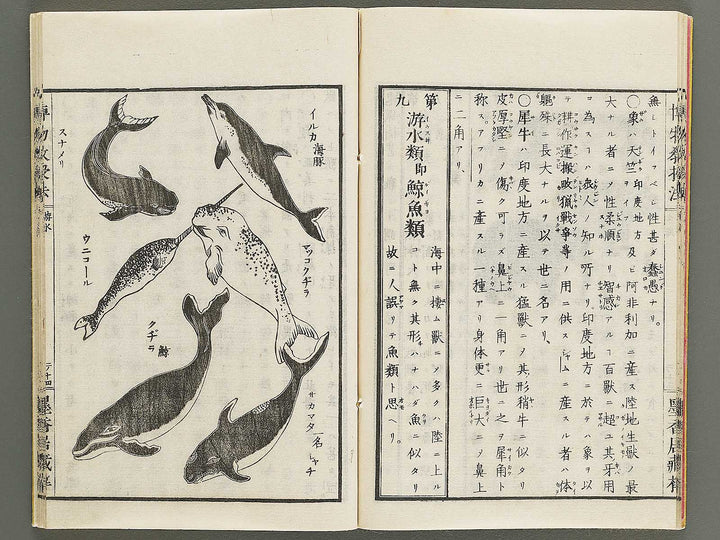 Hakubutsu kyojyuho Volume 2 / BJ341-579