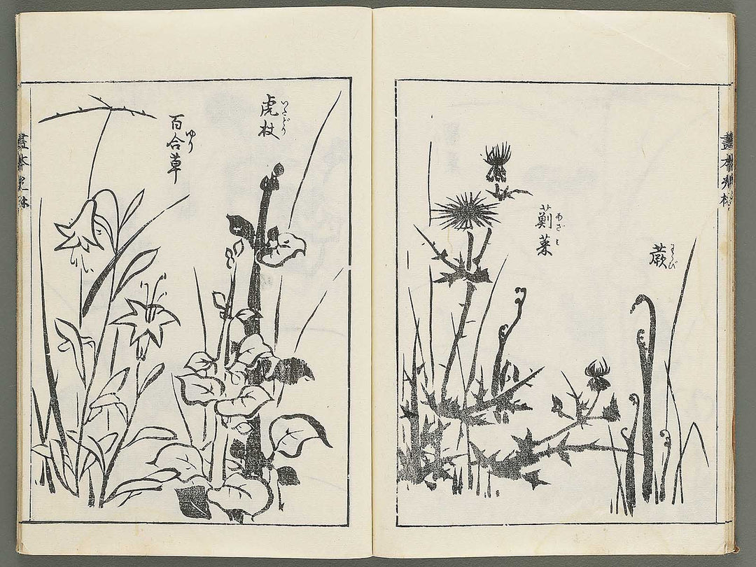 Korin michishirube by Nonomura Chubee / BJ351-134
