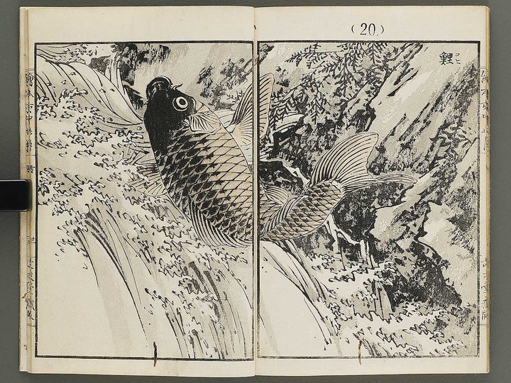 Ehon inaka no tsuki Setsu by Kono Bairei / BJ341-222