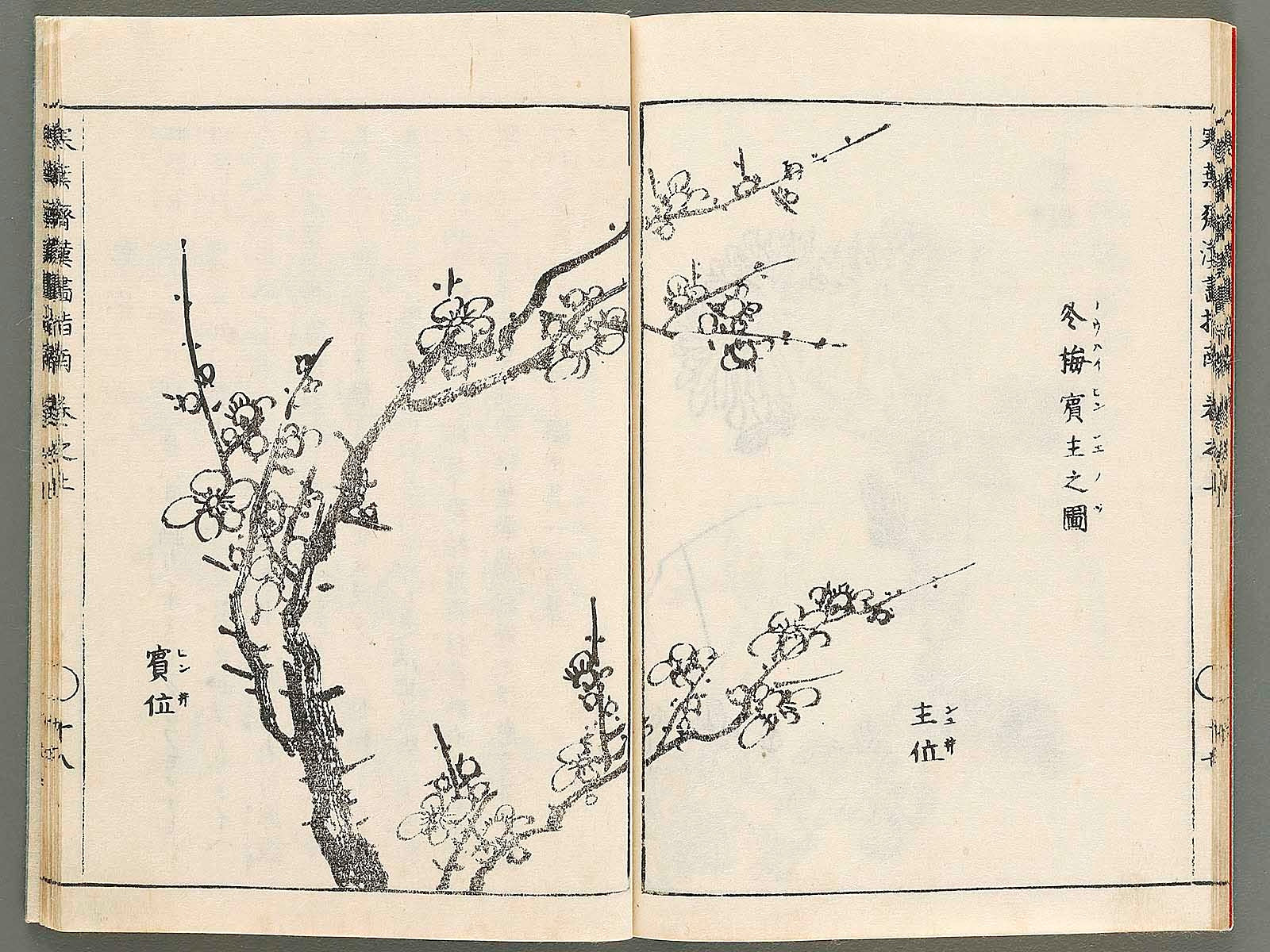 訓點復古 乾坤巻 日尾荊山撰