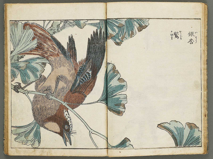 Kacho shashin zui by Kitao Shigemasa / BJ339-115