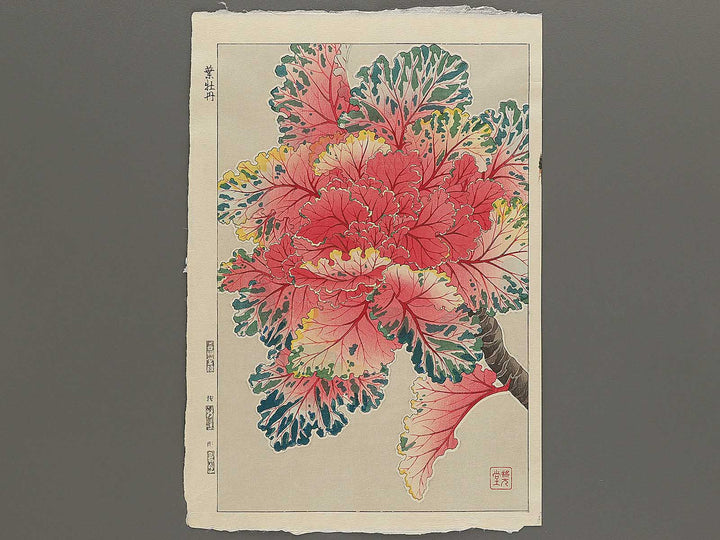 Habotan by Kawarazaki Shodo, (Large print size) / BJ346-269