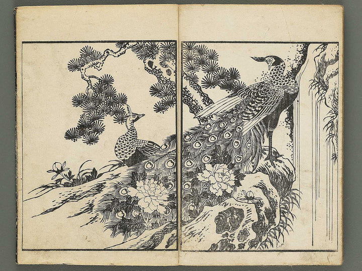 Kacho gafu by Asai Osui / BJ345-842