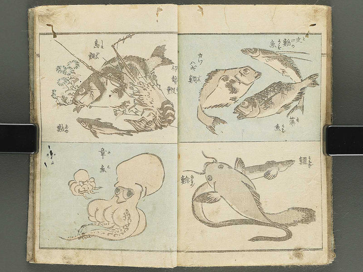 Yanagawa gafu (Jinbutsu sakana mushi) by Yanagawa Shigenobu / BJ348-033