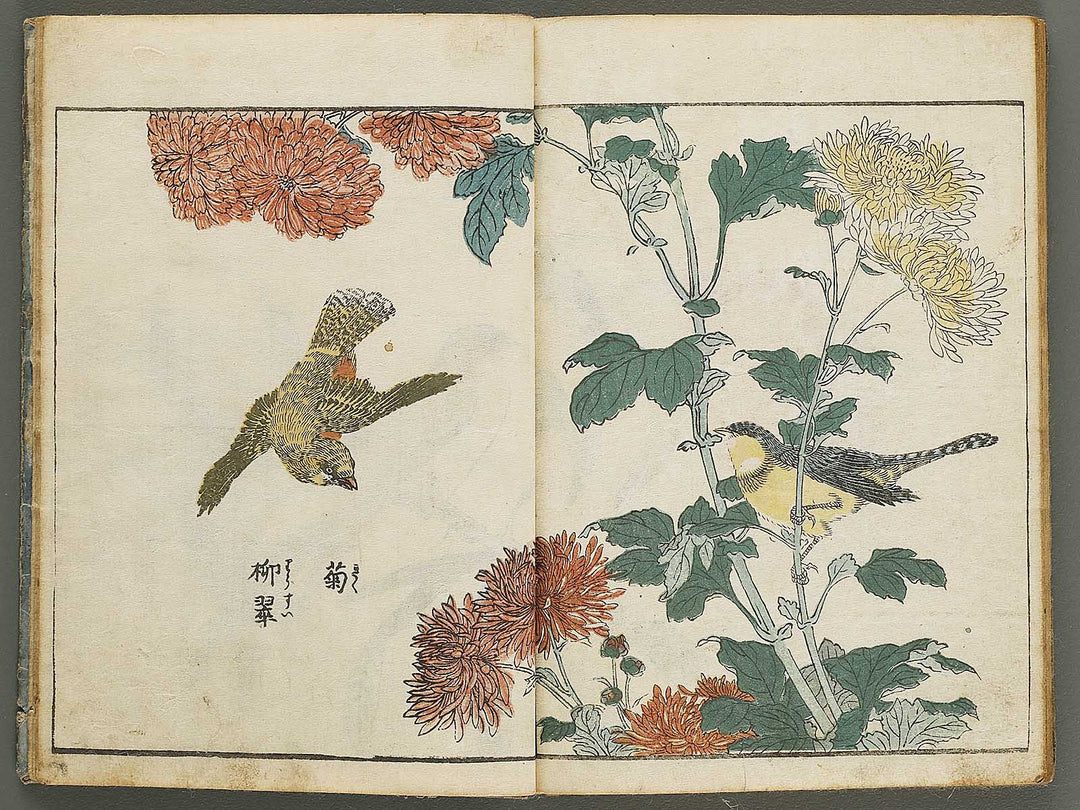 Kacho shashin zui by Kitao Shigemasa / BJ339-115