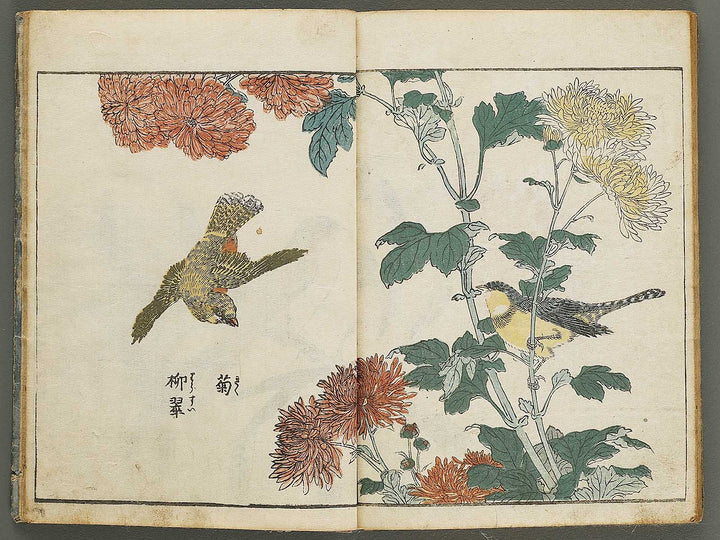 Kacho shashin zui by Kitao Shigemasa / BJ339-115