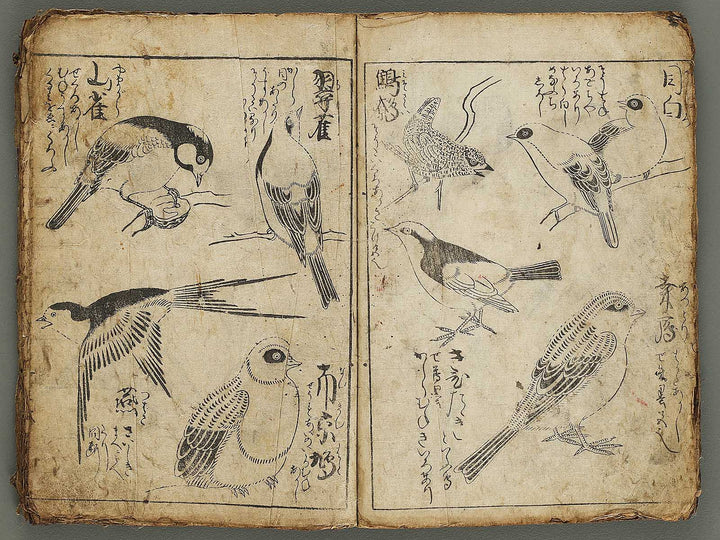 Etehon (Title Unknown)  / BJ337-561