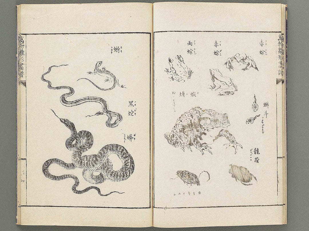 Banbutsu hinagata gafu Volume 2 by Sensai Eisaku / BJ305-956