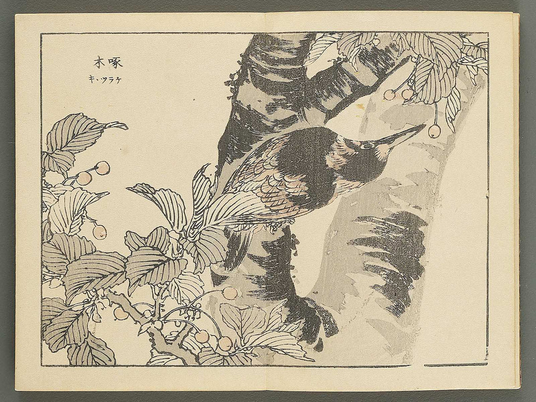 Bairei gafu (Kacho no bu) by Kono Bairei / BJ351-106