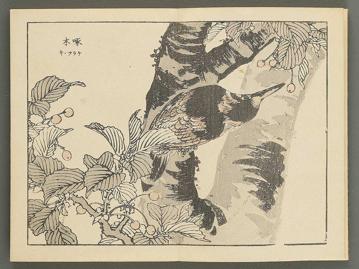 Bairei gafu (Kacho no bu) by Kono Bairei / BJ351-106