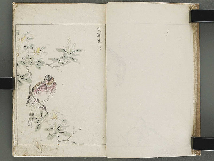 Shucho gafu (Jin) (Part 3 of 3) by Numata Kashu / BJ339-752