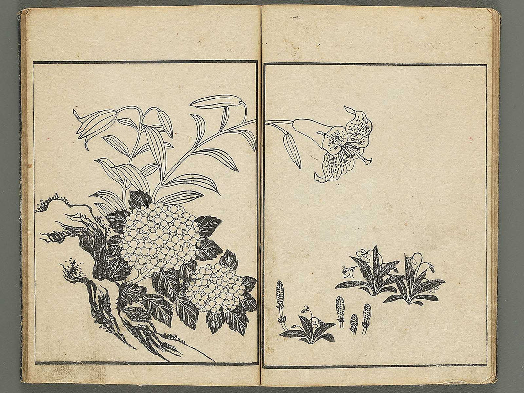Kacho gafu by Asai Osui / BJ345-842