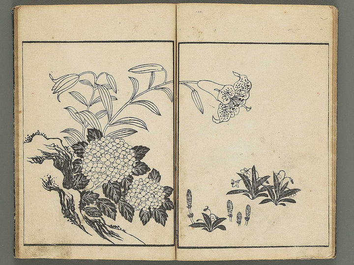 Kacho gafu by Asai Osui / BJ345-842