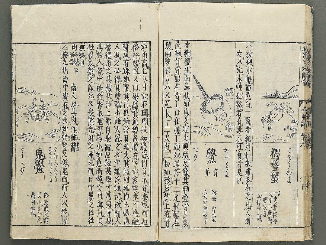 Wakan sansai zue Part 45, Book 46 / BJ349-230