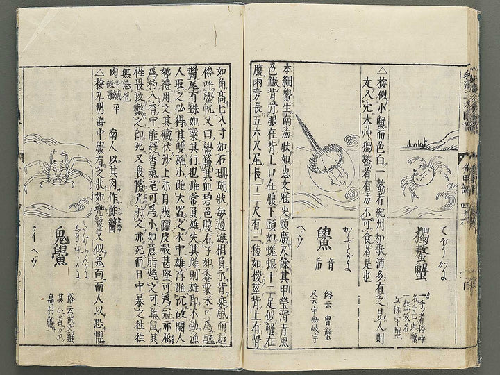 Wakan sansai zue Part 45, Book 46 / BJ349-230
