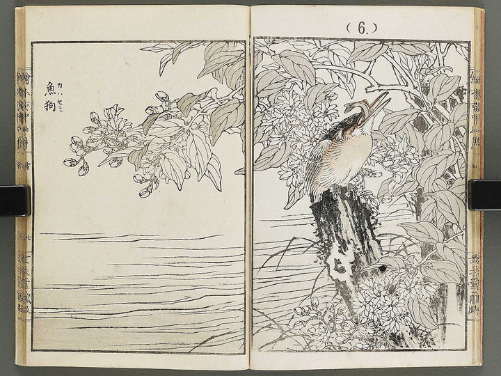 Ehon inaka no tsuki Setsu by Kono Bairei / BJ341-222